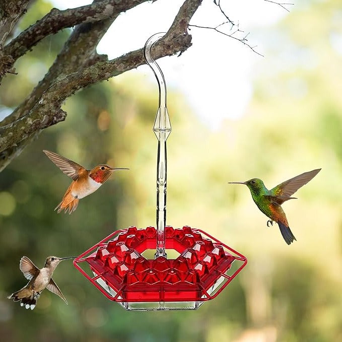 Hummingbird Feeder Ant Proof Outdoor Hanging Easy Perch Red - Tophatter Daily Deals
