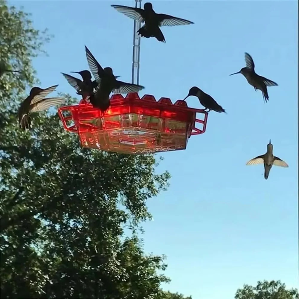 Hummingbird Feeder Ant Proof Outdoor Hanging Easy Perch - Tophatter Daily Deals