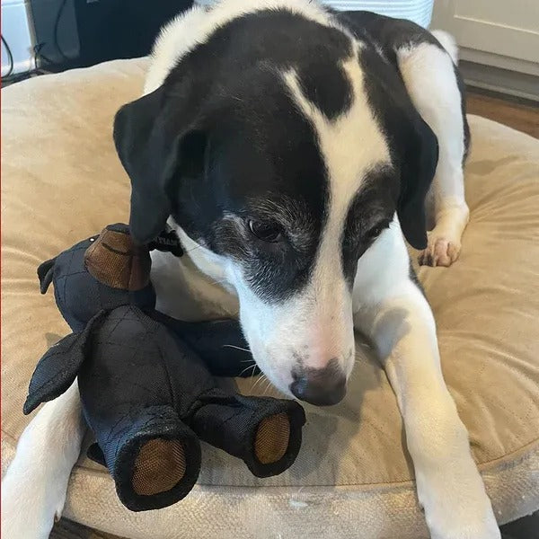Indestructible Bear Dog Toy With Squeaker Heavy Duty - Tophatter Daily Deals