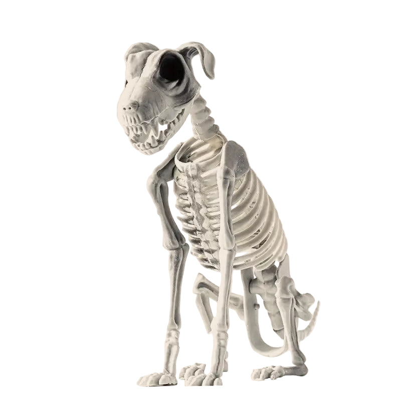 Halloween Dog Skeleton Decoration Halloween - Tophatter Daily Deals