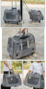 2-in-1 Cat Carrier with Wheels and Handle Pet Carriers & Crates - Tophatter Daily Deals