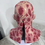 Freddy Krueger Mask Halloween Horror Halloween - Tophatter Daily Deals