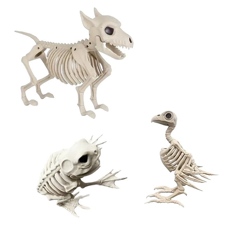 Halloween Poseable Skeleton Animal Set (3pcs) Halloween - Tophatter Daily Deals