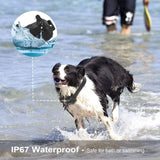 iMountek Dog Training Collar IP Pet Supplies - Tophatter Daily Deals