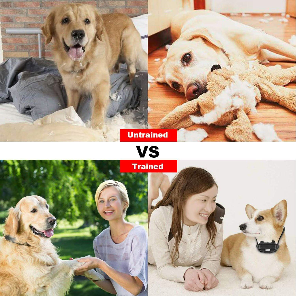 iMountek Dog Training Collar IP Pet Supplies - Tophatter Daily Deals