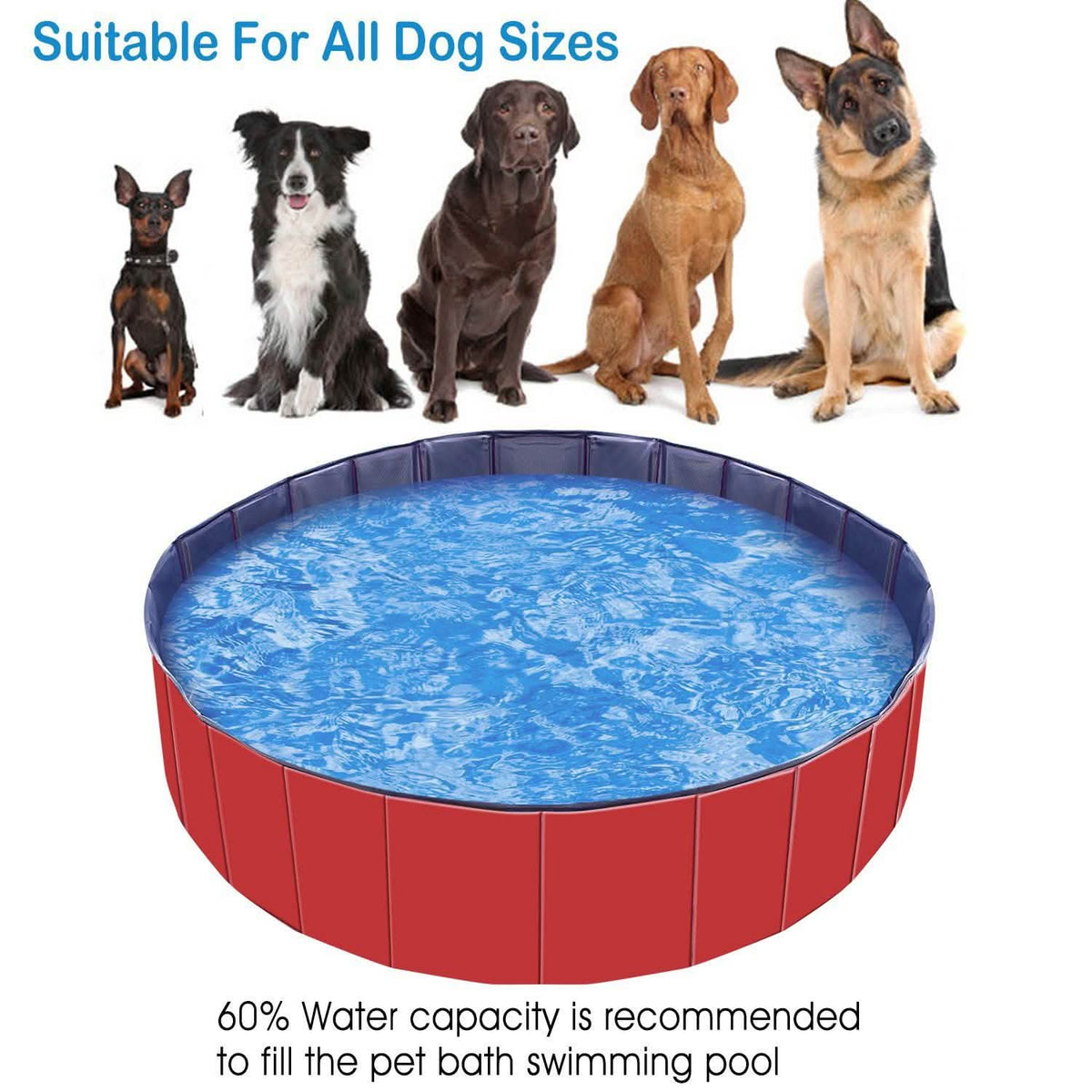 iMounTEK Foldable Pet Swimming Pool Pet Supplies - Tophatter Daily Deals