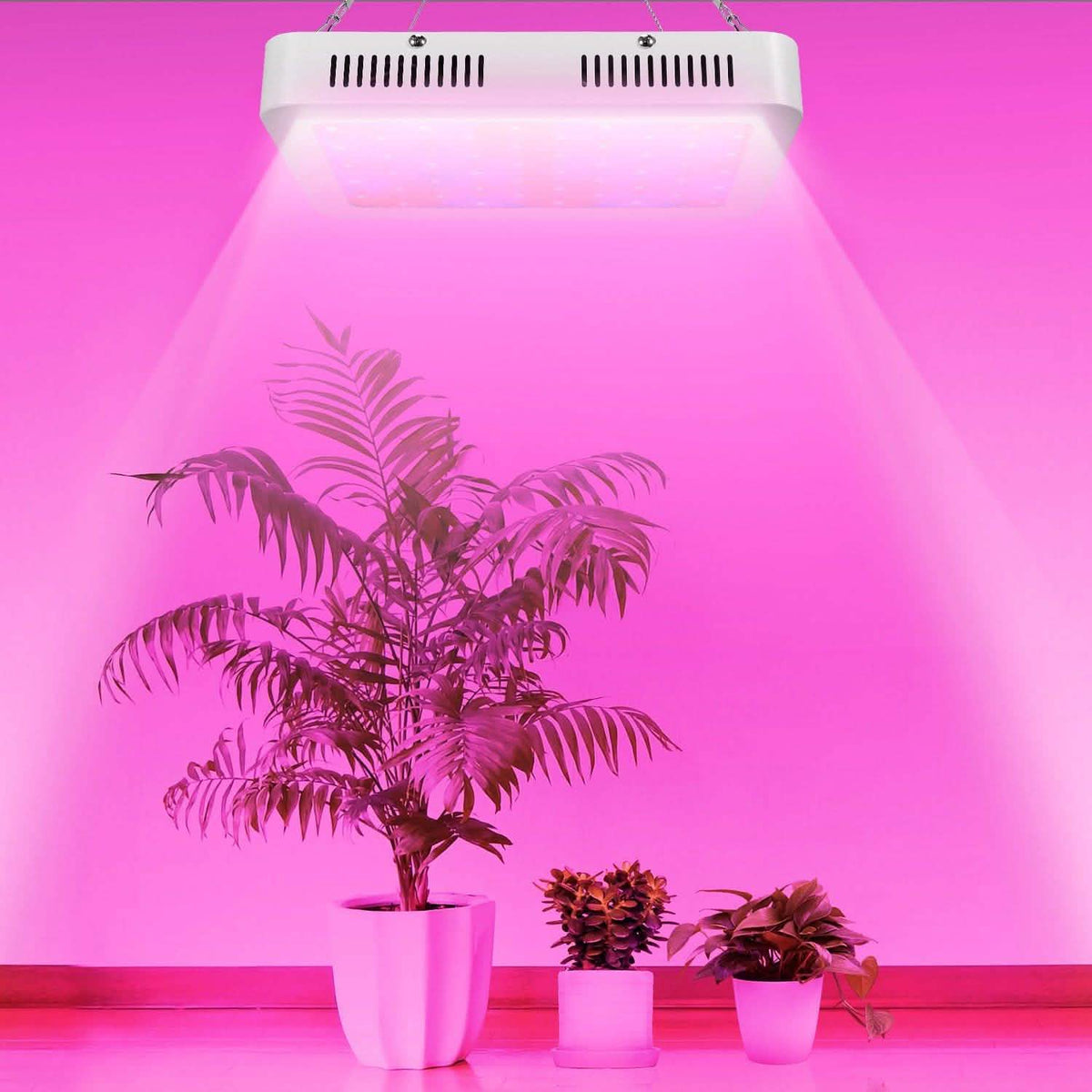 iMountek LED Plant Grow Lights 1000W Garden & Patio - Tophatter Daily Deals