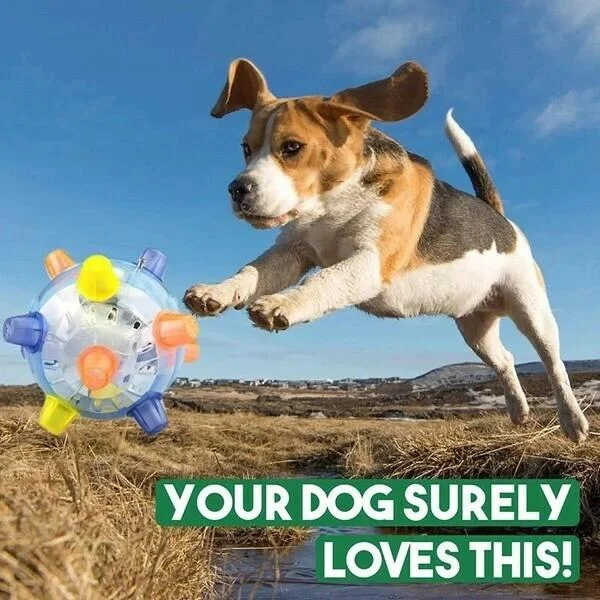 LED Jumping Dog Toy Ball Interactive Play Training 2025 - Tophatter Daily Deals