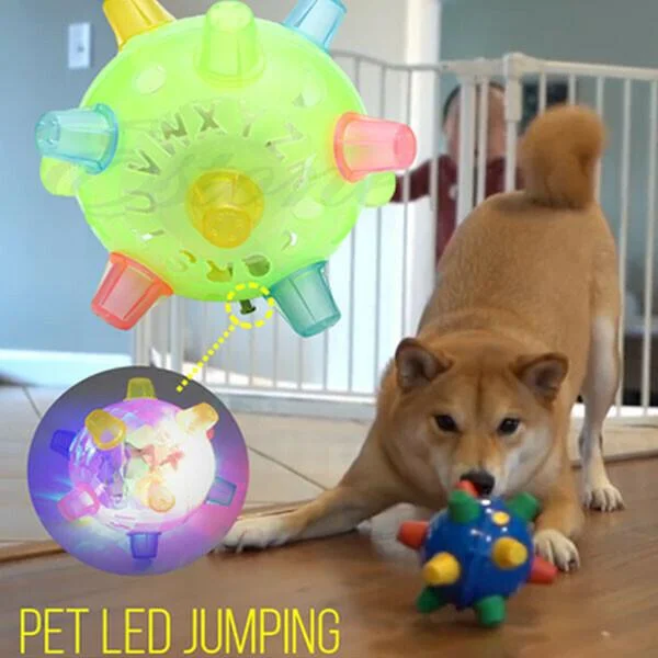 LED Jumping Dog Toy Ball Interactive Play Training 2025 - Tophatter Daily Deals