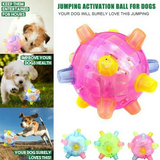LED Jumping Dog Toy Ball Interactive Play Training 2025 - Tophatter Daily Deals