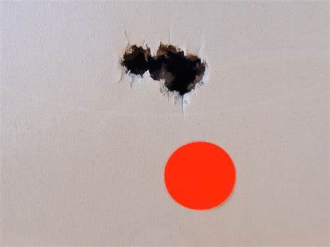 JSB .25 CAL EXACT KING HEAVY 33.95GR - 300's - Tophatter's Army Deals BULLETS - Tophatter Daily Deals