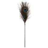 Taboom Dona Peacock Tickler – Elegant Feather Sensation Toy > Bondage Gear > Ticklers - Tophatter Daily Deals
