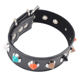 Collar With Thorns – Adjustable Collar Accessory > Bondage Gear > Collars & Leashes - Tophatter Daily Deals