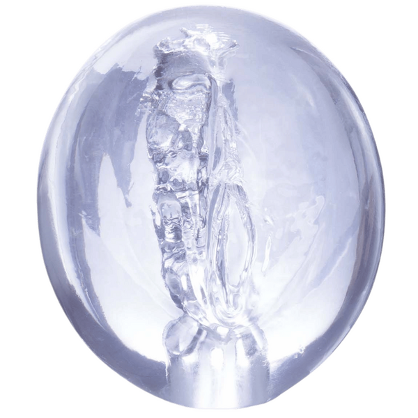 Pocket Jelly Masturbator – 3.5 Inch Soft Flexible Masturbator > Sex Toys For Men > Masturbators Cup - Tophatter Daily Deals