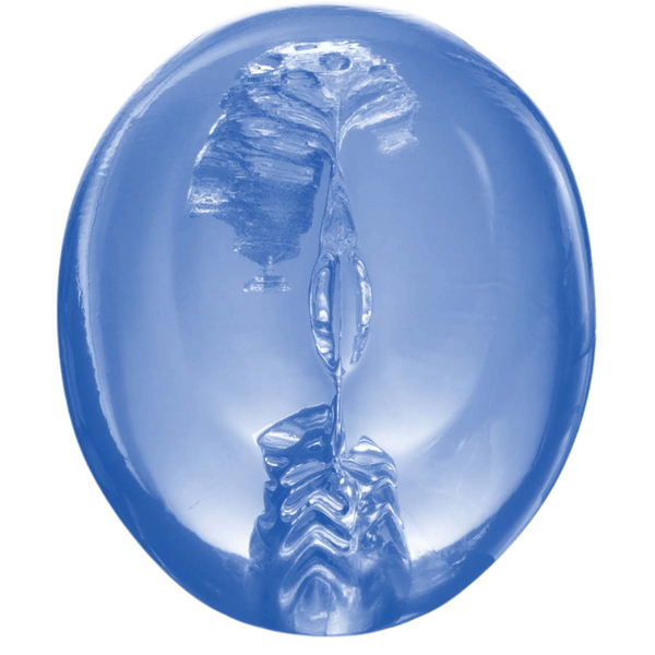 Pocket Jelly Masturbator – Soft Flexible 3.5 Inch Masturbator > Sex Toys For Men > Masturbators Cup - Tophatter Daily Deals