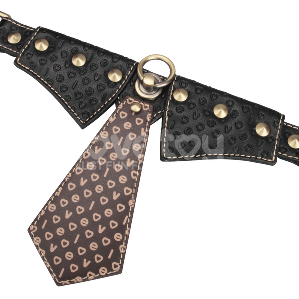 Rebellion Reign Collar with Leash – Luxury PU Leather Bondage Accessory > Bondage Gear > Collars & Leashes - Tophatter Daily Deals