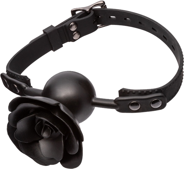 Forbidden Removable Rose Gag – Adjustable Breathable Fetish Accessory > Bondage Gear > Gags and Bits - Tophatter Daily Deals