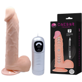 Caesar Treasure Realistic Dong – Realistic Dong > Dildos > Thrusting Dildos - Tophatter Daily Deals