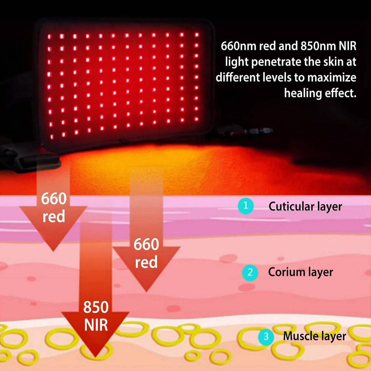 LED Red Light Therapy Belt Health & Wellness - Tophatter Daily Deals