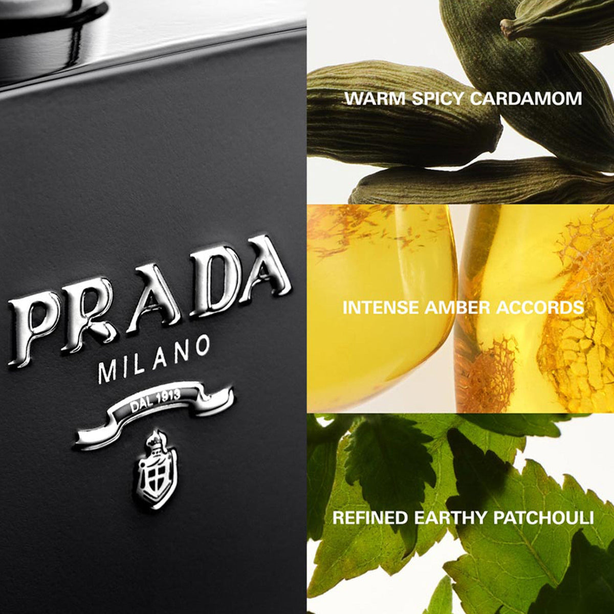 Prada L'Homme Eau De Parfum Intense 100ml Spray - Tophatter Daily Deals