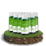 Liquid Lawn Fertilizer Fast Green Formula Fall 2025 GET x10 PACK - Tophatter Daily Deals