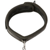 Sei Mio Twin Tweaks Collar & Nipple Clamps Bondage and Fetish > Nipple Stimulators & Clamps - Tophatter Daily Deals