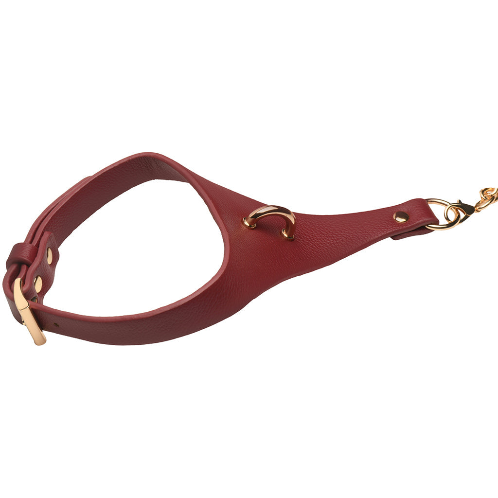 Master Series Captivate Collar with Body Chain in Red Bondage and Fetish > Leashes and Collars - Tophatter Daily Deals