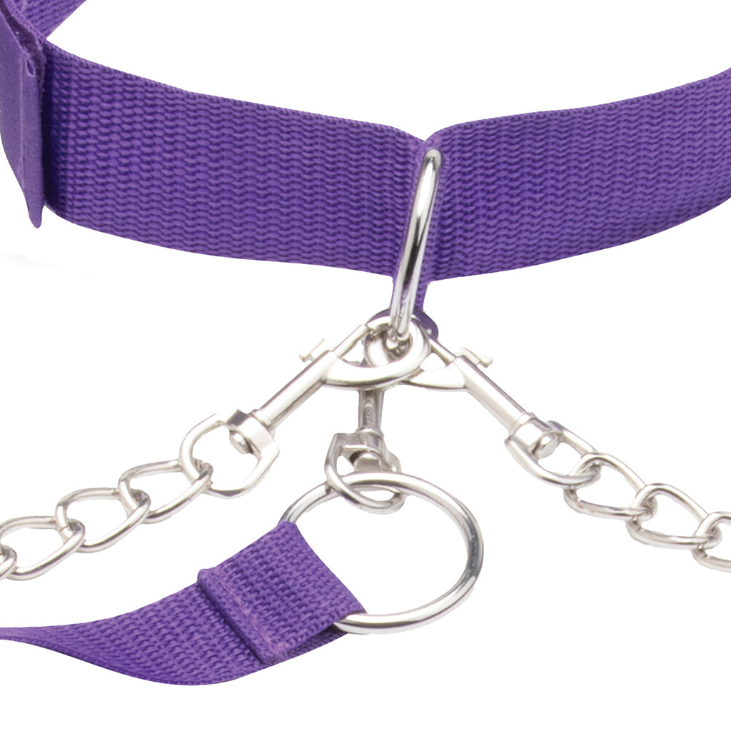 Collar, Cuff & Leash Set in Purple Bondage and Fetish > Leashes and Collars - Tophatter Daily Deals