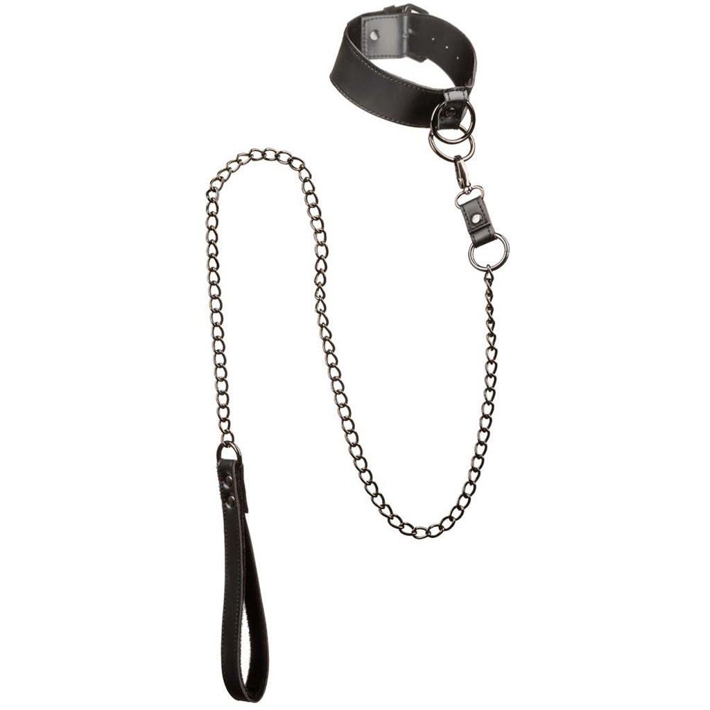 Euphoria Collar With Chain Leash Bondage and Fetish > Leashes and Collars - Tophatter Daily Deals