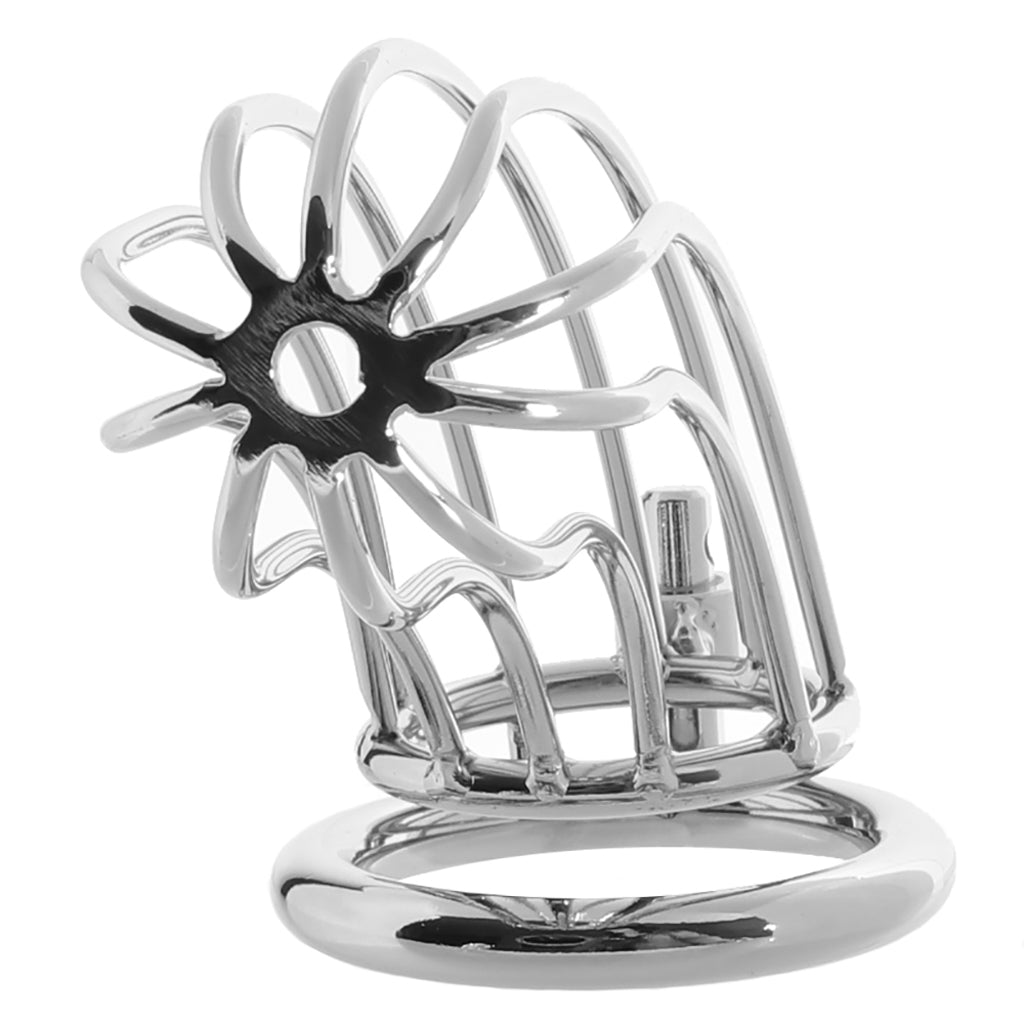 Blue Line Prisoner Cock Cage in Silver - Tophatter's Adult Products Bondage and Fetish > Cock and Ball Devices - Tophatter Daily Deals