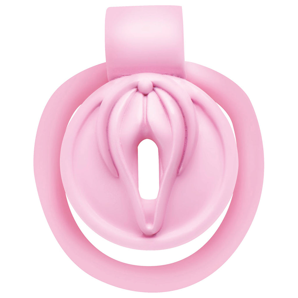Master Series Pussification Vulva Chastity Cage Bondage and Fetish > Cock and Ball Devices - Tophatter Daily Deals