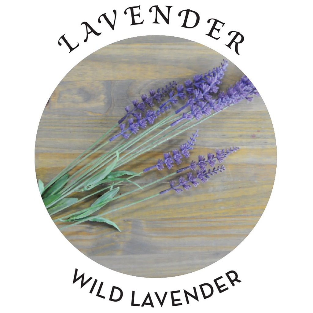 Hemp Seed Tranquility Trio Massage Kit in Lavender Sensual Love > Massage - Tophatter Daily Deals