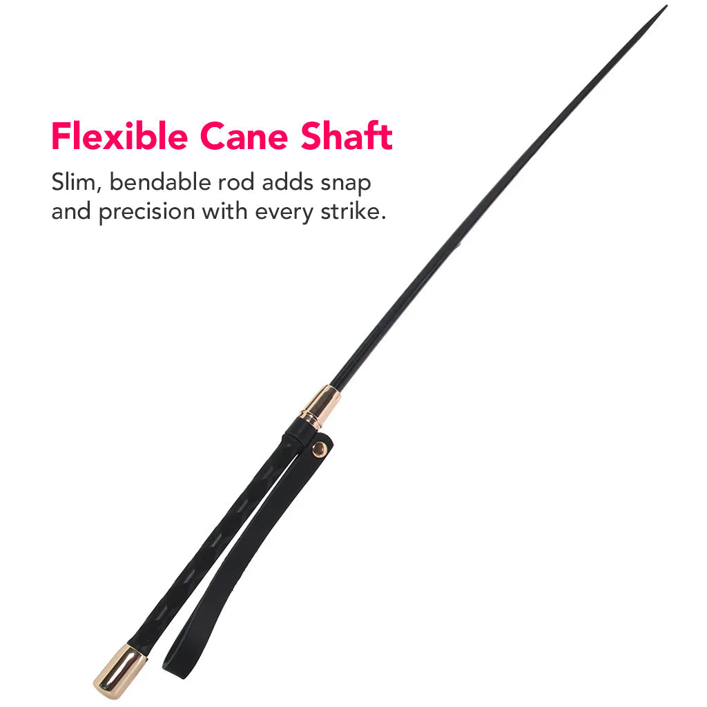 Master Series Sinful Impact Cane in Black Bondage and Fetish > Whips and Crops - Tophatter Daily Deals