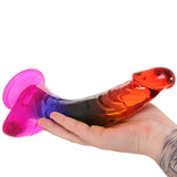 Crystal Jellies 9.5 Inch Cock & Balls Dildo in Rainbow Dildo Sex Toys > Realistic Dildos - Tophatter Daily Deals