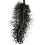 Ostrich Feather Body Tickler in Black Bondage and Fetish > Tools & Accessories - Tophatter Daily Deals