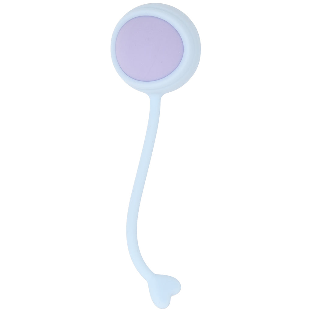 Loveline Pelvifit Strength Kegel Kit - Tophatter's Adult Sex Toys Online Kegel, Ben Wa and Pelvic Health Tools - Tophatter Daily Deals