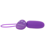 PinkCherry Remote Control Bullet Vibe in Purple - Tophatter's Adult Sex Toys Online Vibrators > Bullet and Egg Vibrators - Tophatter Daily Deals