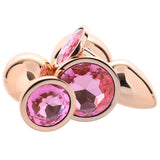 Rear Assets Round Gem Metal Plug Kit in Rose Anal Sex Toys > Butt Plugs - Tophatter Daily Deals