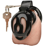Master Series Hard Stop Double Ring Chastity Cage Bondage and Fetish > Cock and Ball Devices - Tophatter Daily Deals