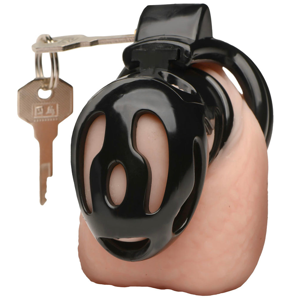 Master Series Hard Stop Double Ring Chastity Cage Bondage and Fetish > Cock and Ball Devices - Tophatter Daily Deals