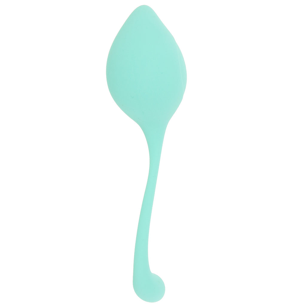 Loveline Pelvifit Stem Kegel Kit - Tophatter's Adult Sex Toys Online Kegel, Ben Wa and Pelvic Health Tools - Tophatter Daily Deals