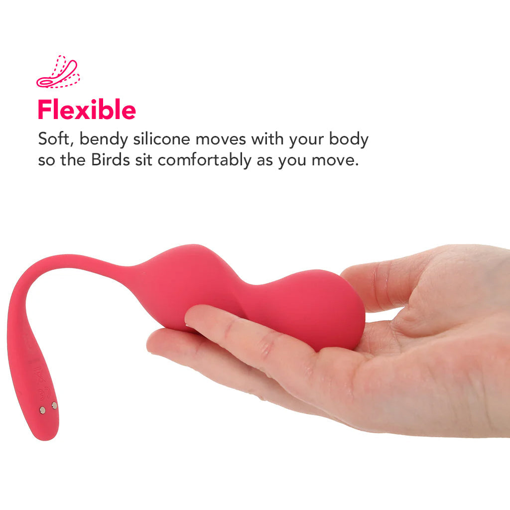 Satisfyer App Control Love Birds 2 Kegel Balls Kegel, Ben Wa and Pelvic Health Tools - Tophatter Daily Deals