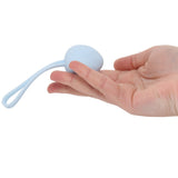 Loveline Pelvifit Berry Kegel Kit - Tophatter's Adult Sex Toys Online Kegel, Ben Wa and Pelvic Health Tools - Tophatter Daily Deals