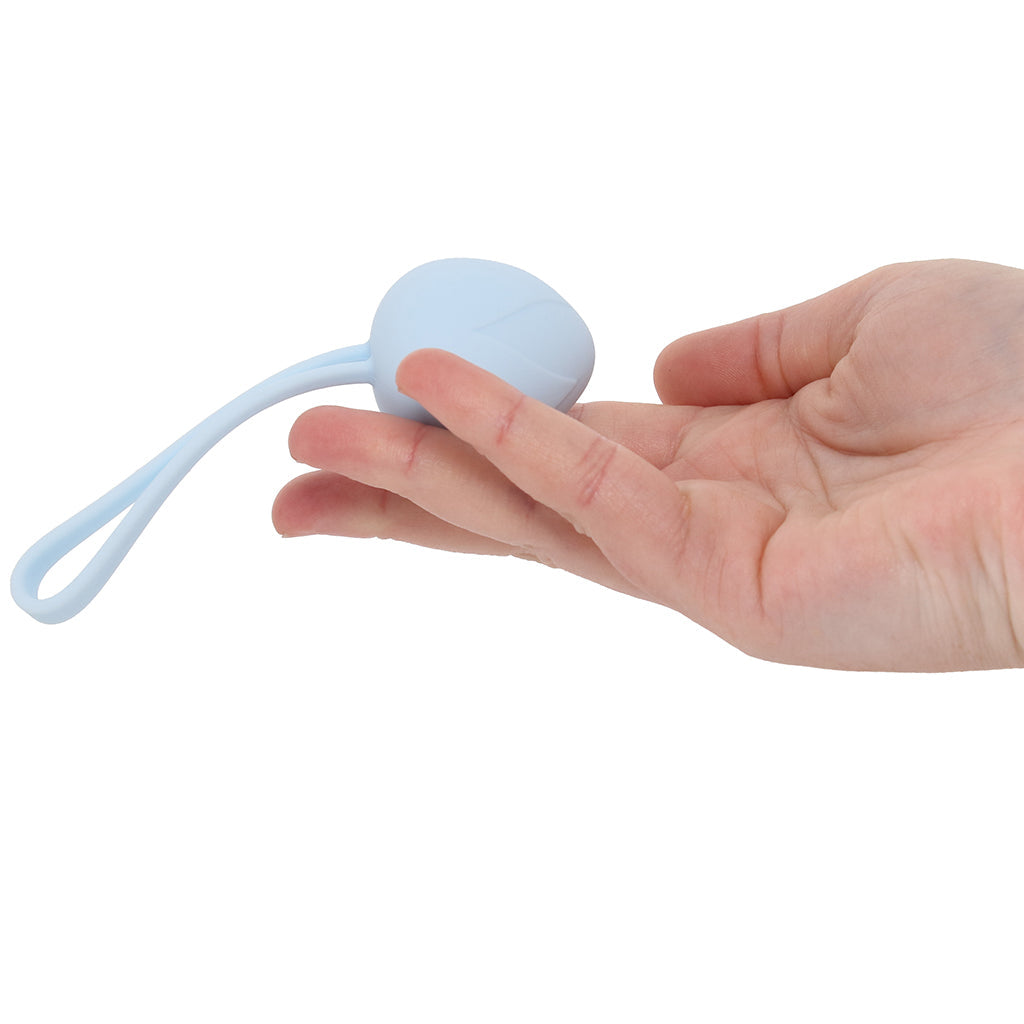 Loveline Pelvifit Berry Kegel Kit - Tophatter's Adult Sex Toys Online Kegel, Ben Wa and Pelvic Health Tools - Tophatter Daily Deals