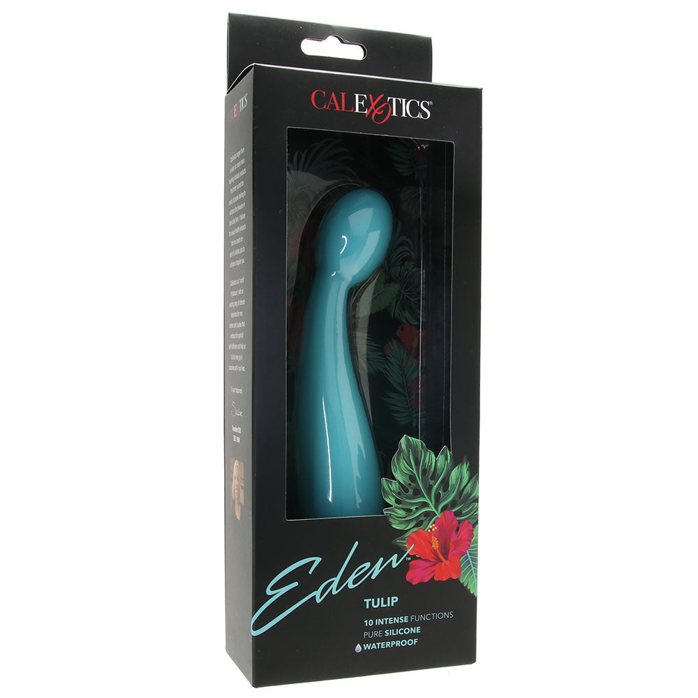 Eden Silicone Tulip Vibe in Teal Vibrators > G-Spot Vibrators - Tophatter Daily Deals
