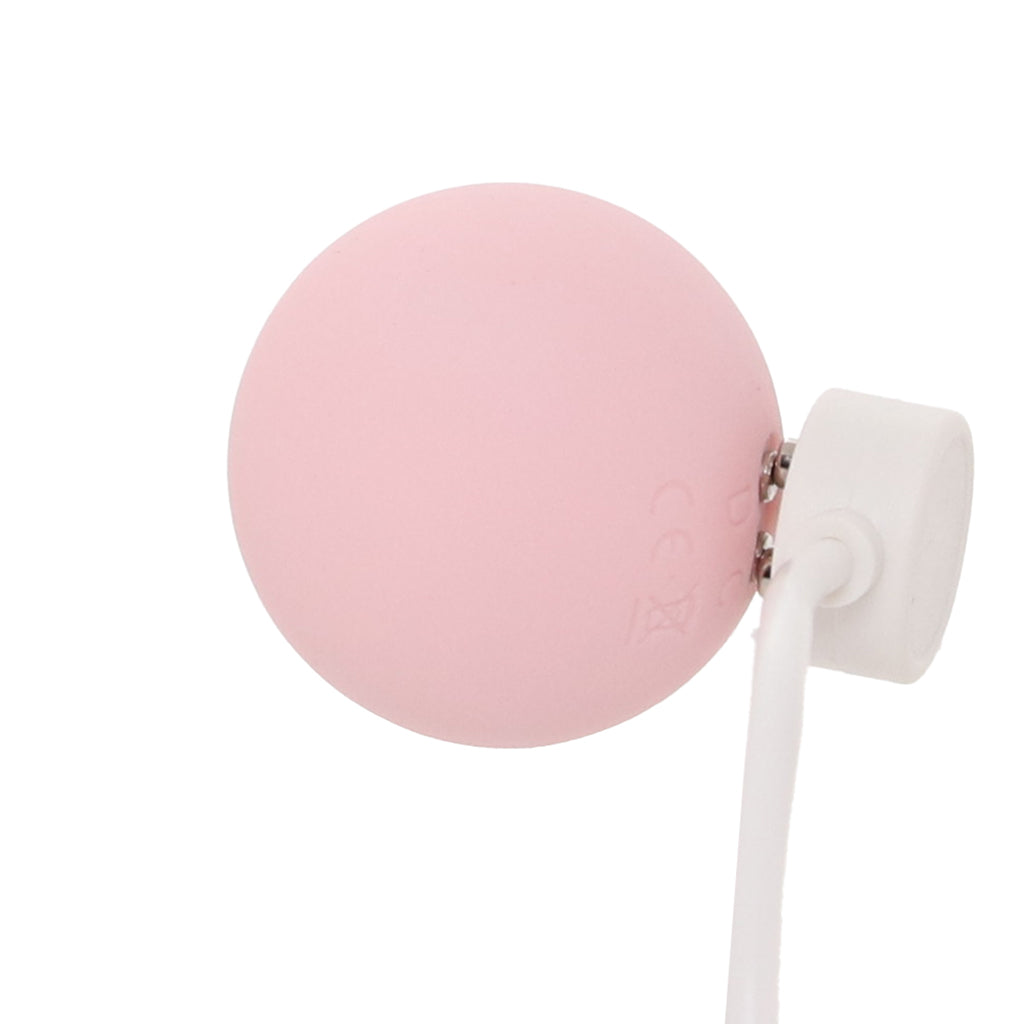 Loveline Pelvifit Strength Kegel Kit Kegel, Ben Wa and Pelvic Health Tools - Tophatter Daily Deals