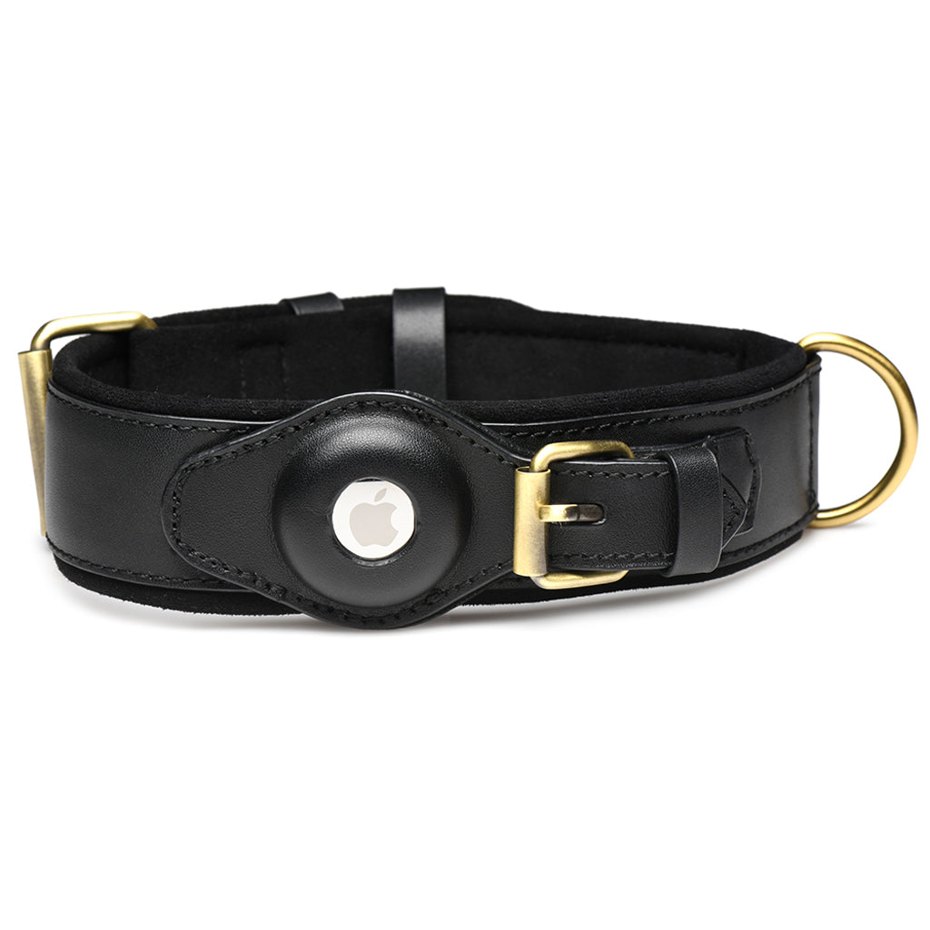 Master Series Tracer Tracking Collar Bondage and Fetish > Leashes and Collars - Tophatter Daily Deals