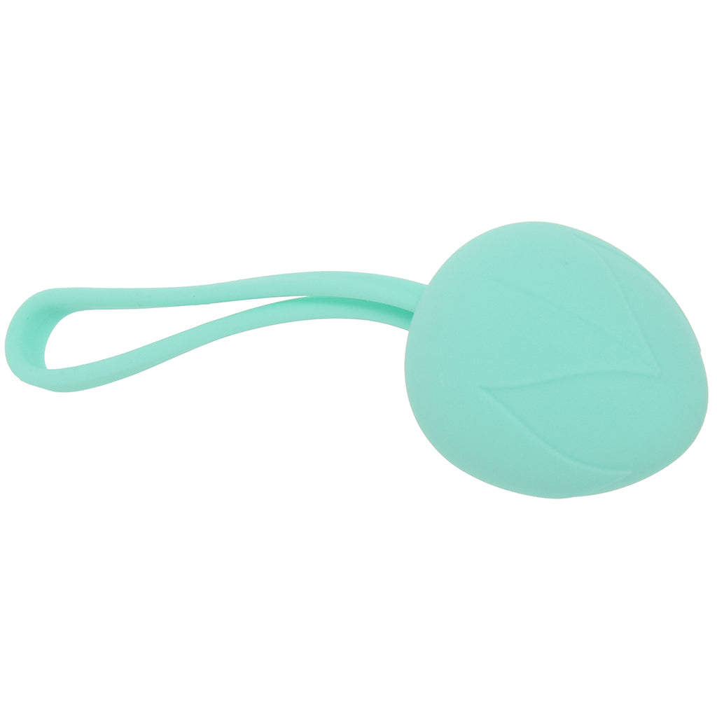 Loveline Pelvifit Berry Kegel Kit - Tophatter's Adult Sex Toys Online Kegel, Ben Wa and Pelvic Health Tools - Tophatter Daily Deals