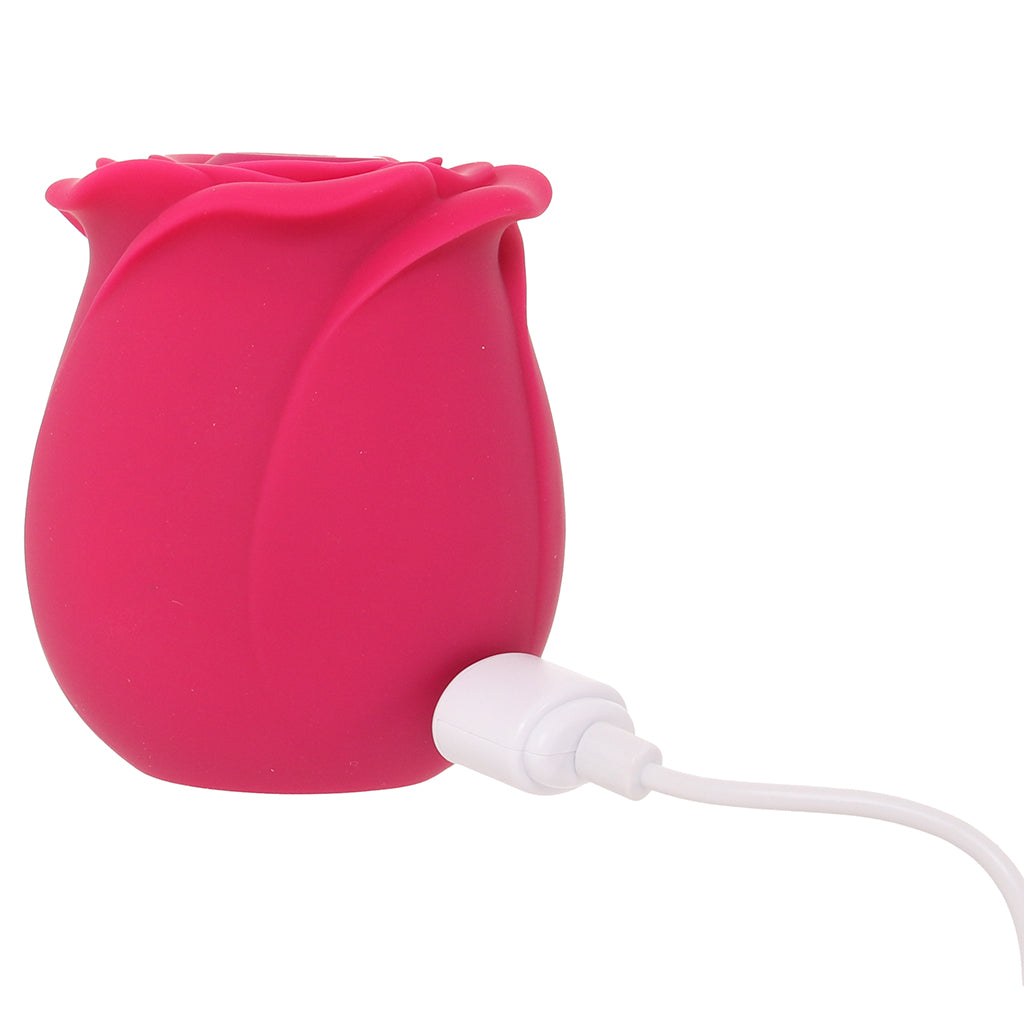 Satisfyer Pro 2 Classic Blossom Rose Vibe Vibrators > Clitoral Stimulators - Tophatter Daily Deals
