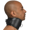 Master Series Hard Stance Padded Posture Collar Bondage and Fetish > Leashes and Collars - Tophatter Daily Deals